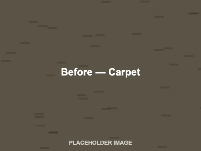 Carpet before cleaning