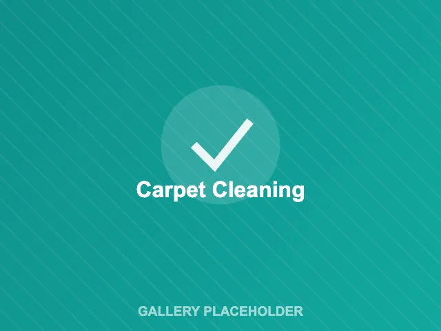 Carpet cleaning project in East London